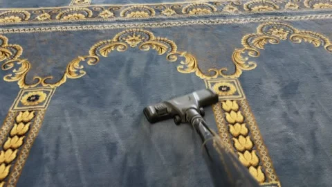 POV Vacuuming Blue Patterned Carpet Indoors Stock Footage 341375848