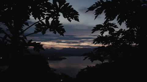 POV Video of Slow Camera Movement Through Papaya Tree Leaves revealing Scenic 库存影片 335023629