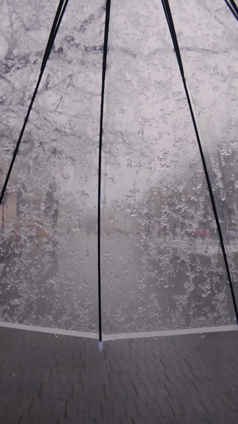 POV video, time lapse of wet snow falling on transparent umbrella on gloomy Stock Footage 338025000