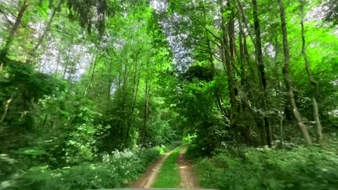 POV view on bumpy rural road in forest with green trees, view from car Video stock 246002699