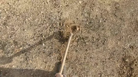 POV view of man digging a hole in the ground with a hoe in the field on sunny Stock Footage 164721852