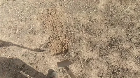 POV view of man digging a hole in the ground with a shovel in the field on su Stock Footage 164721876