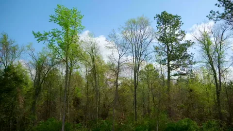 POV view from the passenger side in car driving on the highway on bright sunny Stock Footage 316108091