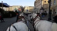Pov View Of Riding Two Horse Carriage Around Main Square In Old City Centre Stock Footage