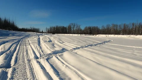 POV view of Snowmobile rides through the pine forest in slow motion. Stock Footage 164604158