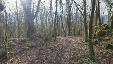 Pov of a walk along a path in the forest in autumn, Grenoble, France Stock Footage 288443324