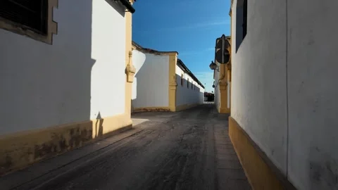 POV walk between historic sherry bodega warehouse buildings, Jerez de la Stock Footage 341663758