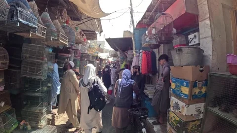 POV Walk Through Ka Faroshi Bird Market, Kabul, Afghanistan Stock Footage 339303236