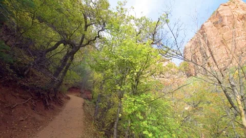 POV Walking Along Emerald Pools Trail in Zion National Park, Utah Video stock 331999716