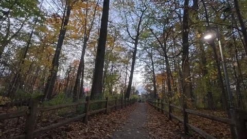 POV Walking Along Forested Path in Kew Gardens Park with Fall Foliage at Dus Video stock 325666401