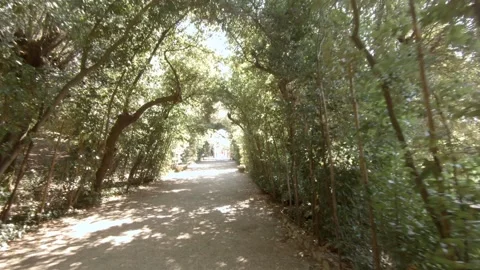 POV - Walking along the Garden path with tree tunnel Stock Footage 131998901