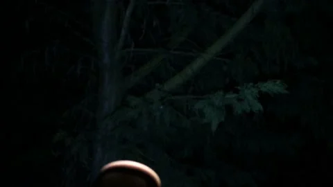 POV walking around in the dark night in forest with flashlight scary horror Stock Footage 171886171