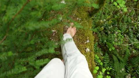 POV walking barefoot in forest over a log above a creek Stock Footage 344990728