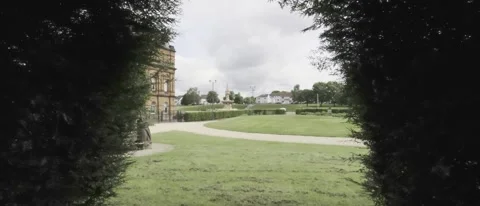 Pov of walking between trees and into a quiet park area - HLG Footage Stock Footage 196113463