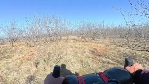 POV Walking Bicycle into Trees – Entering Off Road Forest Trail Stock Footage 334090912