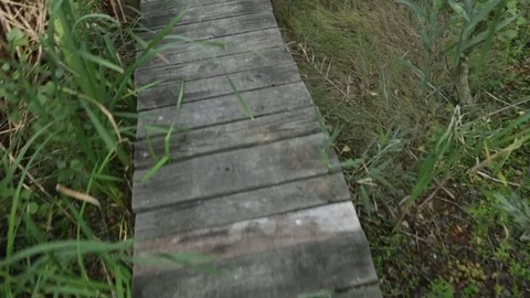 POV: walking on the bridge into marsh Stock-Footage 83492844
