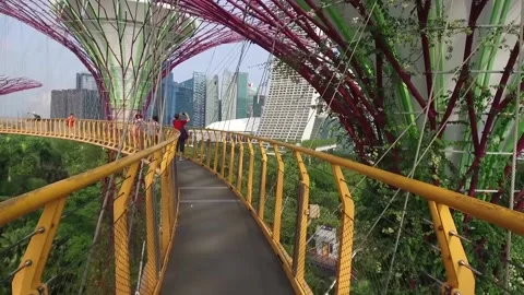 POV on Walking Bridge of Super Trees in Gardens by the Bay, Singapore Stock Footage 131225974