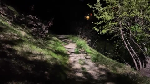 Pov Walking On Dark Forest Path At Night With Flashlight Stock Footage 332590193