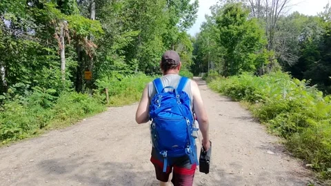 POV Walking Down Nature Trail Through Dense Green Forest 4K Video Stock Footage 314805493