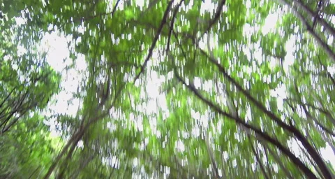 A POV walking down a trail near the lambshire Video stock 42829800