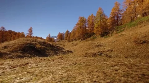 POV walking on fall fields path near trees.Side view with sun. Sunny autumn day Stock Footage 80279514