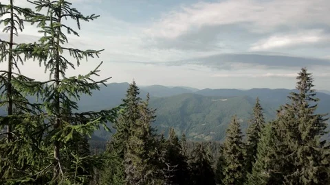 POV walking on fall path to woods, valley and mounts at sunset with beautiful Stock-Footage 88957833