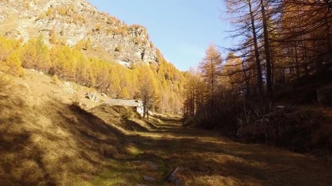 POV walking on fall woods path near trees and lodge.Sunny autumn day Hiking in Stock-Footage 80278953