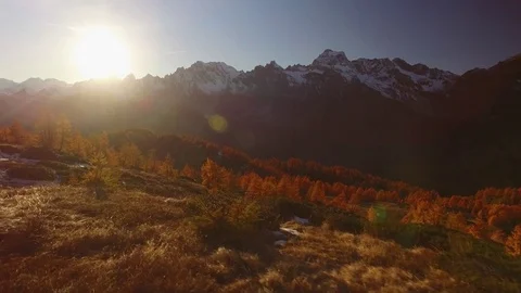 POV walking on fall woods path near trees with sun and snowy mounts.Sunny autumn Stock-Footage 80280524