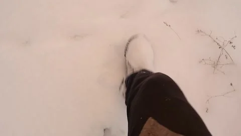 POV Walking on Forest Ground in Winter Nature Travel Outdoor Lifestyle Stock Footage 325569189