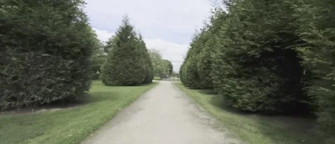 Pov of walking a gravel path between large trees - HLG Footage Video stock 196113393