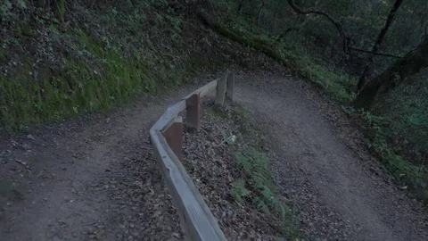 POV Walking hiking trough a path in the forrest Video stock 83156607