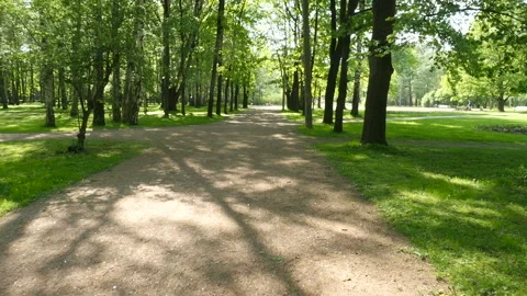 POV. Walking inside a park of spring trees at sun with long shadows Video stock 95337477