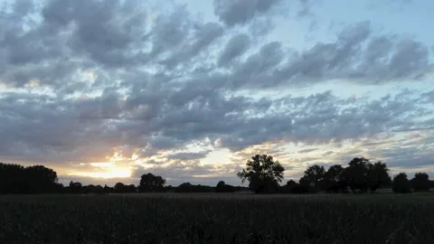 POV walking out of a dark lighted cornfield at sunset. Beautiful rural Stockbeeldmateriaal 136484828