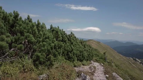 Pov of Walking on Path Hiking in Mountains, People Footsteps View, Tourists, Stock-Footage 88972574
