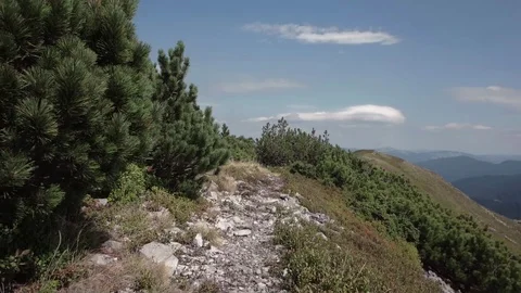 Pov of Walking on Path Hiking in Mountains, People Footsteps View, Tourists, Stock Footage 88972667
