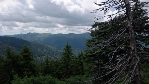 Pov of Walking on Path, People Footsteps View, Tourists, Hiking in Mountains Stock-Footage 88903992