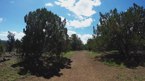 POV Walking Red Mountain Hiking Trail- Flagstaff Arizona Stock Footage 68303876