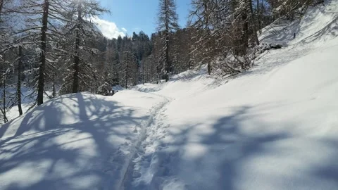POV walking on snowy path in winter forest in Switzerland Vidéo 334094605