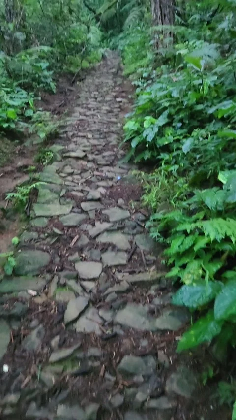 POV walking on a stone path in the mountain Stock Footage 284751764