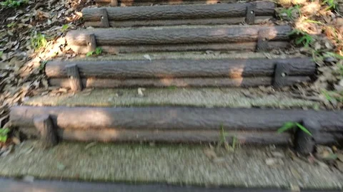 POV Walking Up Stone Steps Through Forest Stock Footage 339274762
