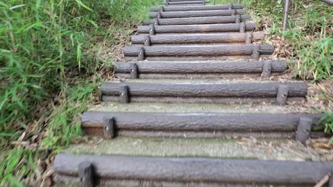 POV Walking Up Stone Steps Through Forest Stock Footage 339274764