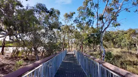 POV walking surrounded by native bushland and eucalyptus trees Stock Footage 309256959