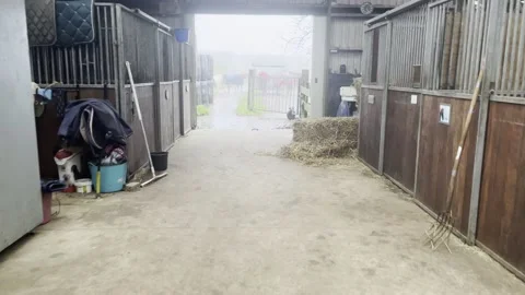 POV Walking Through A Barn To Paddock With Horses During Heavy Rain Stock Footage 219674840