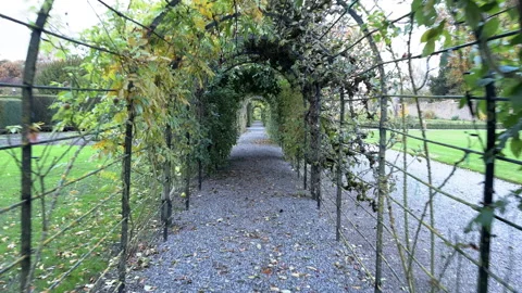 POV Walking through A Castle Path Under an Arbor Stock Footage 255028407