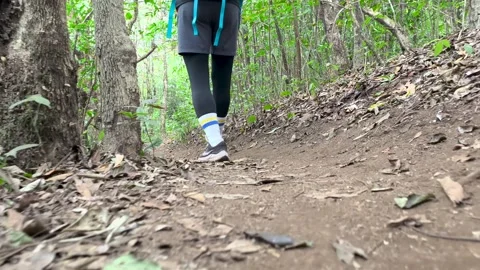 POV Walking Through Deep Forest Trail, Calm Nature Experience Video stock 327305016