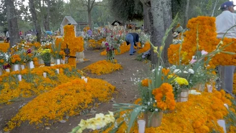 POV walking through a graveyard during Day of the Dead outside of Patzcuaro Stockbeeldmateriaal 79546792