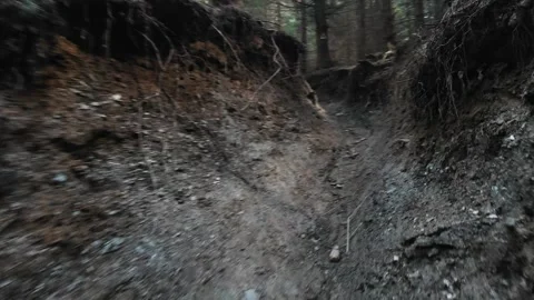 POV walking through a narrow gutter in a forest 動画素材 168321475