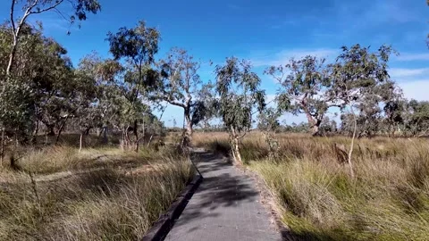 POV walking through a native Australian bushland trail or boardwalk Stock Footage 309257369