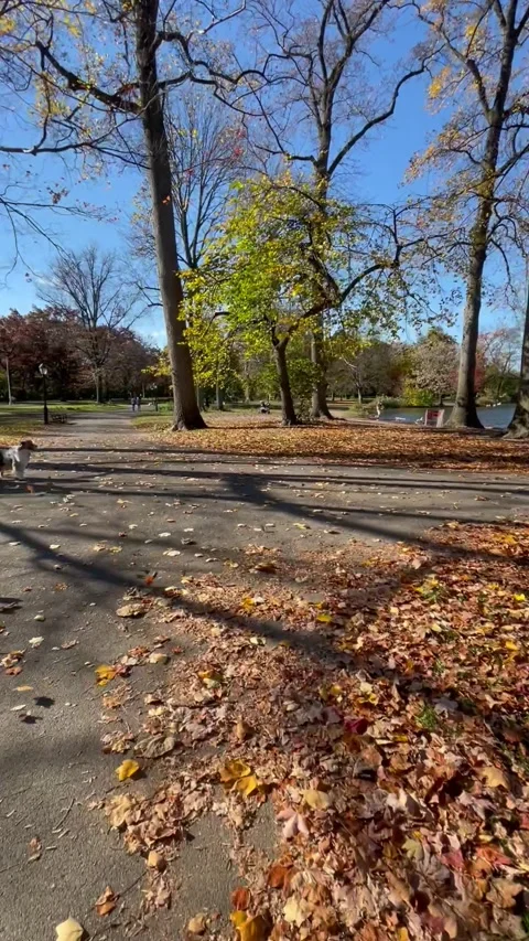 POV Walking through park with pond Stock Footage 258598903