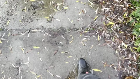 POV Walking Through Puddles With Boots On Stock Footage 219675171